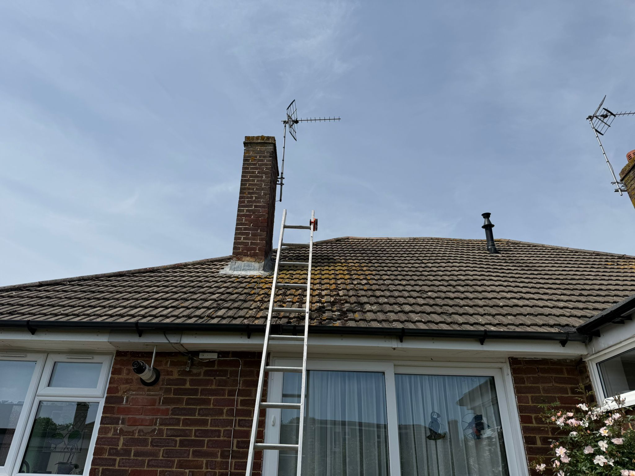 Bungalow roof tiles covered in heavy moss and algae before soft wash roof cleaning