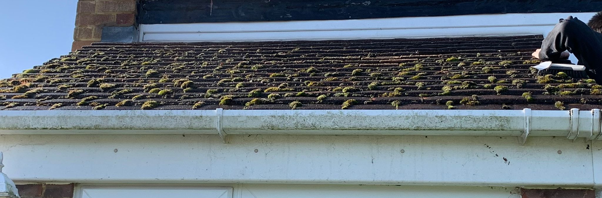 Roof tiles with thick moss growth before soft wash treatment in Kent