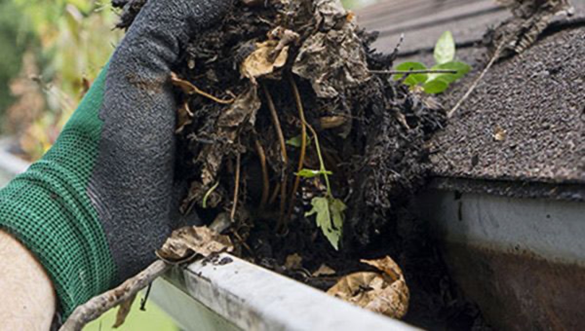 Why Blocked Gutters Cost More to Ignore Than to Fix