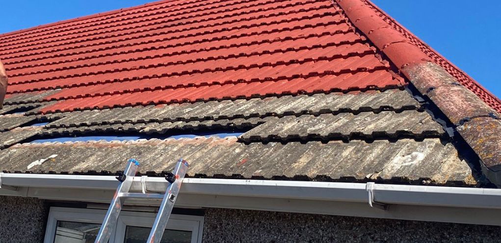 Roof Coating before treatment, Raw Power Exterior Cleaning